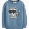 Raccoon - jumper blue