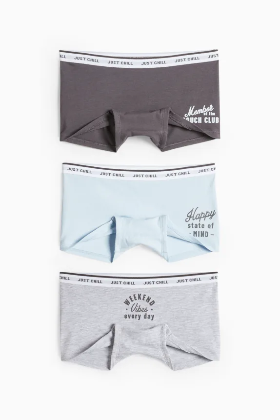 Multipack of 3 - boxer shorts blue / gray