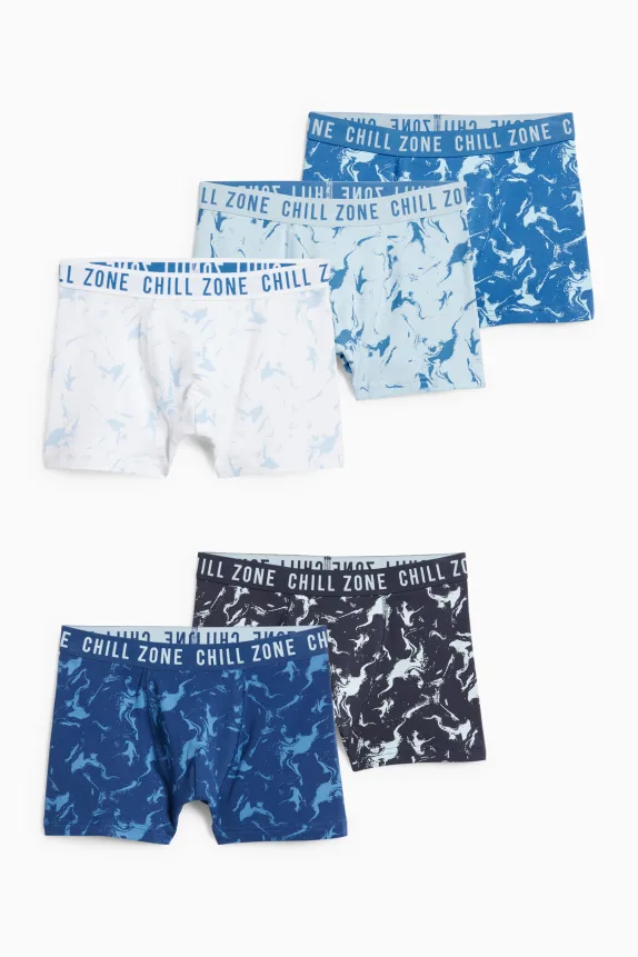 Multipack of 5 - boxer shorts - patterned light blue