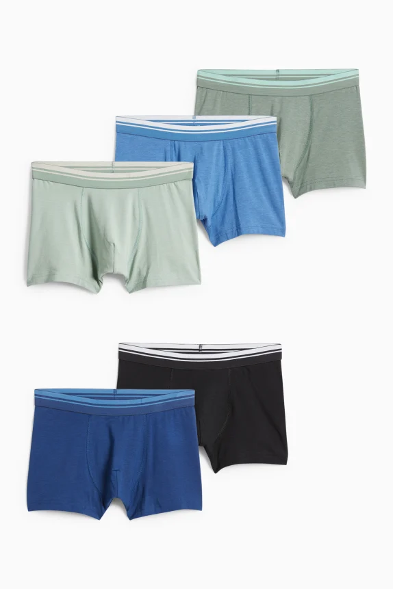 Multipack of 5 - boxer shorts green / dark blue