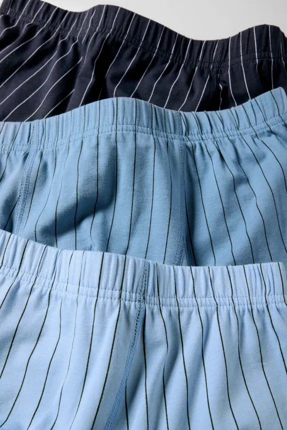 Multipack of 3 - trunks - striped blue